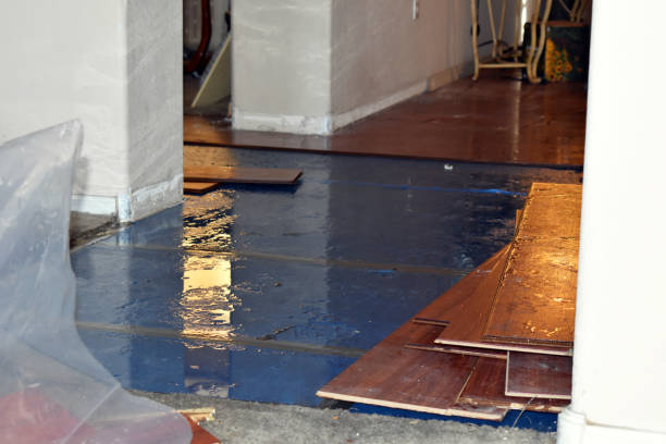 Professional Burst Pipe Cleanup technician working in Albion, IL